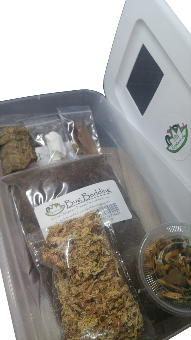 REPTANICALS Isopod Breeder  Kit